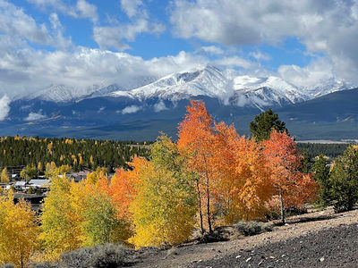 Mineral Belt Trail
