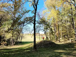 Camden Park