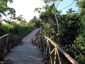 El Shiringuero Ecological Park