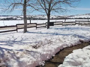 Porcupine Creek