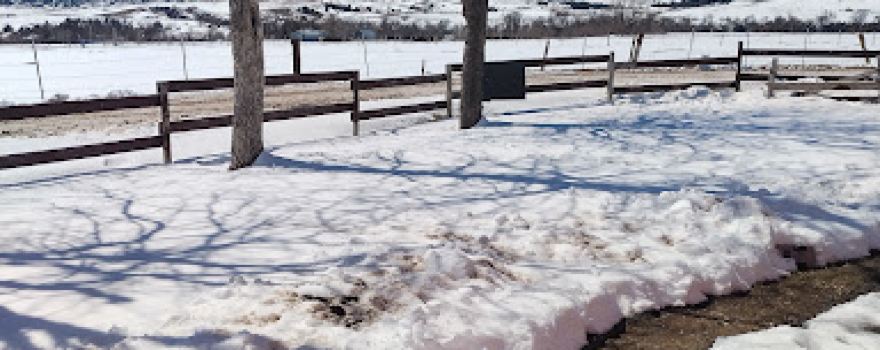 Porcupine Creek