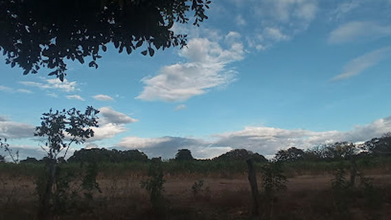 Rivas