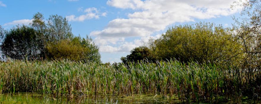 Smalley Hill Nature Reserve