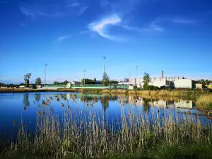 Gorodeya Stadium