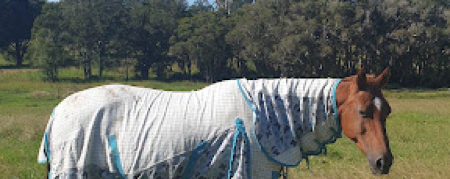 Jilliby State Conservation Area