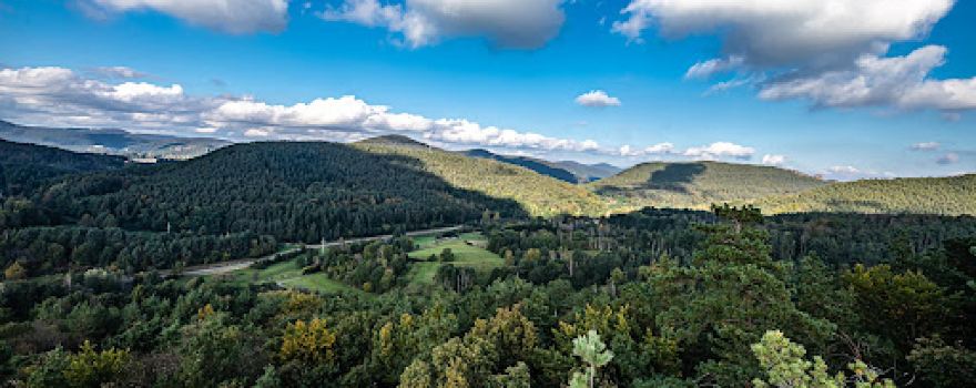 Rimbach-Steig