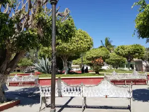 Chacala Garden