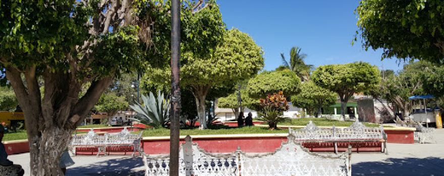 Chacala Garden
