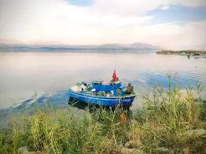 İskele piknik mesire yeri