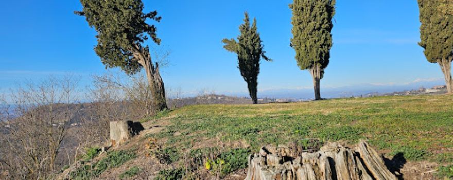 Panchina Gigante #18 Costigliole d'Asti (Bricco Lù)