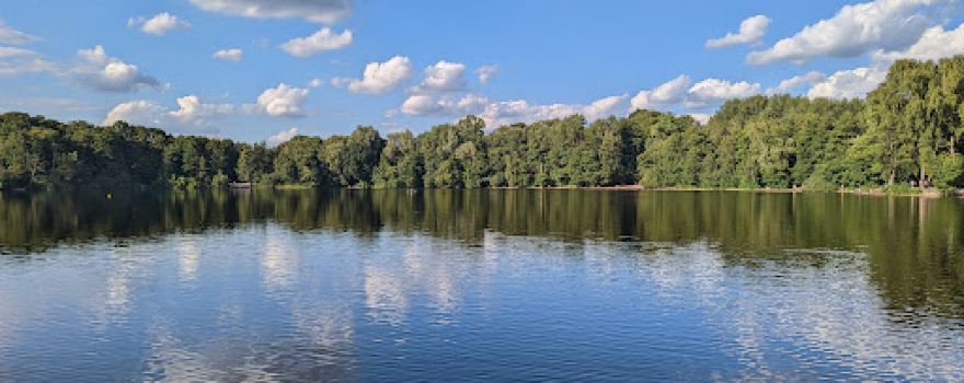 Krupunder lake, city forest
