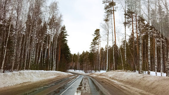 Cheboksarskiy Rayon