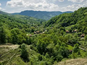 Runcului gorge