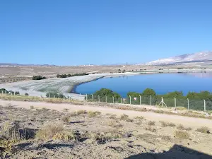 Nigde City Forest