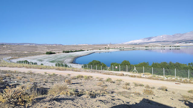 Niğde Atatürk Kent Ormanı
