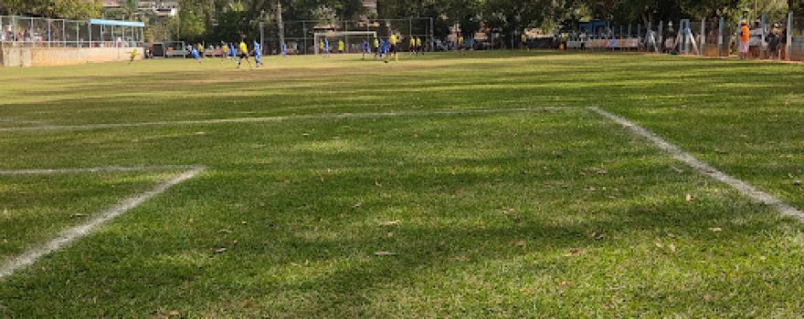 Cedofeita FIELD
