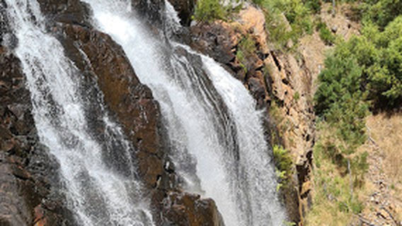 Zumsteins Picnic Area And Fish Falls