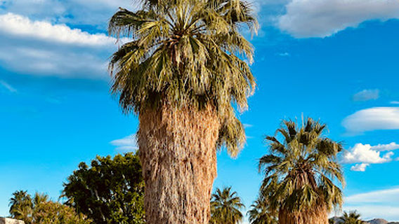 Walk of the Stars Palm Springs