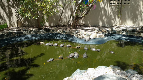 St Maarten Zoo