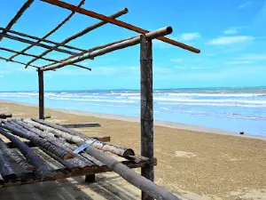핌핑 비치, 멤바쿠트