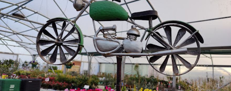 Holton Road Garden Centre