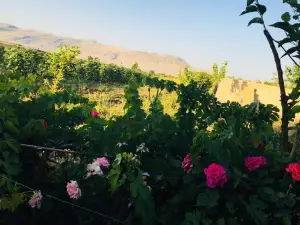 Shifa's Park باخچەی شیفا