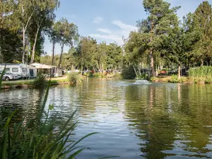 Camping Zavelbos