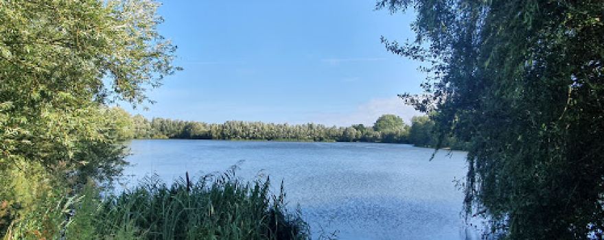 Swan Lake