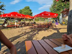 Maislabyrinth am Edersee