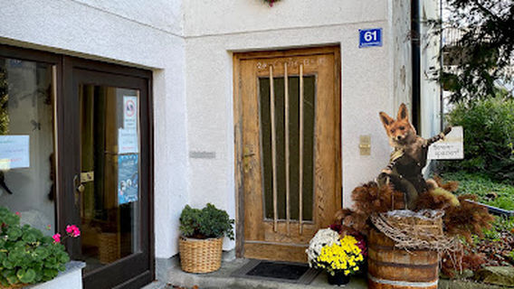 Salzkammergut Tierweltmuseum