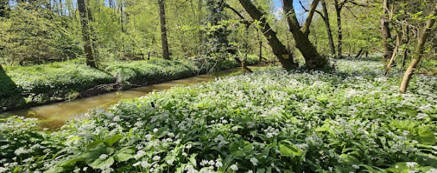 Eardington Nature Reserve