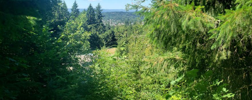 Seminary Hill Natural Area