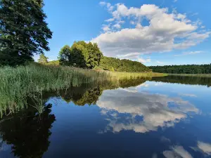 Campingplatz am Großen Wentowsee