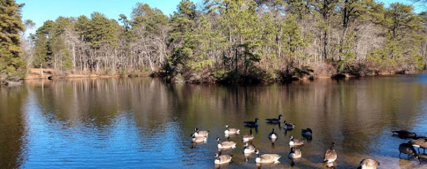 Winding River Park