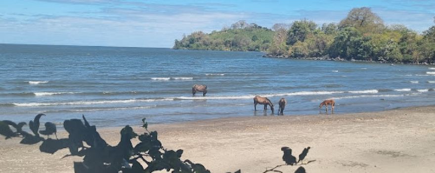 Playa con bancos