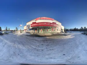 HA "Avangard"
