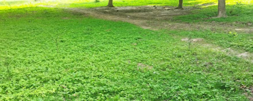 KOLA KE PURA PLAYGROUND