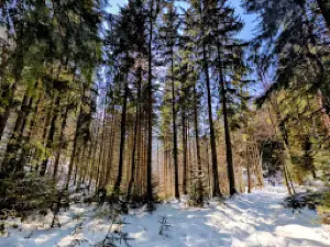 Vârful Lespezi