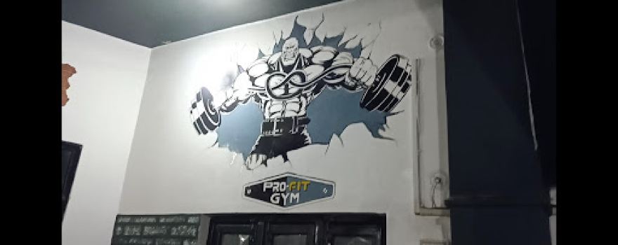 Pro-Fit Gym