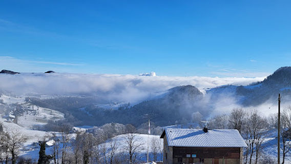 Gosgen District