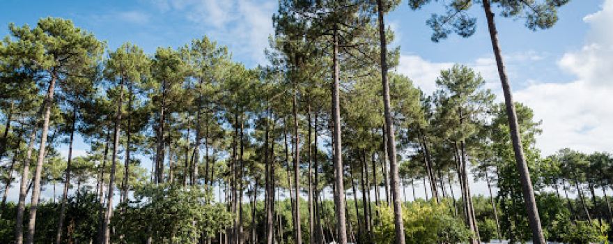 Camping Municipal le Tatiou