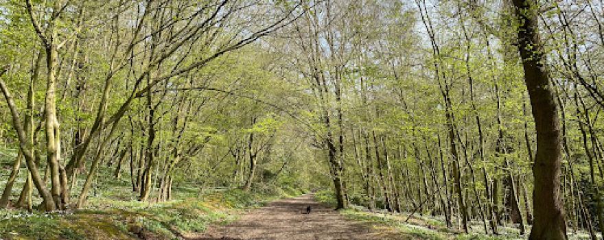 Gruffalo Trail