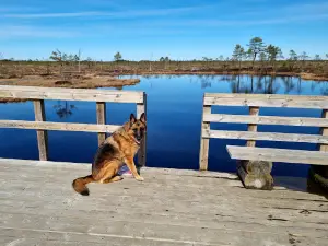 Ingatsi õpperada