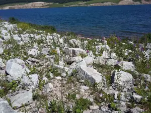 Yermekeyevskoye Vodokhranilishche