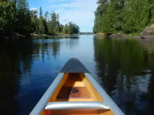Moosebirds - On Lake Vermilion