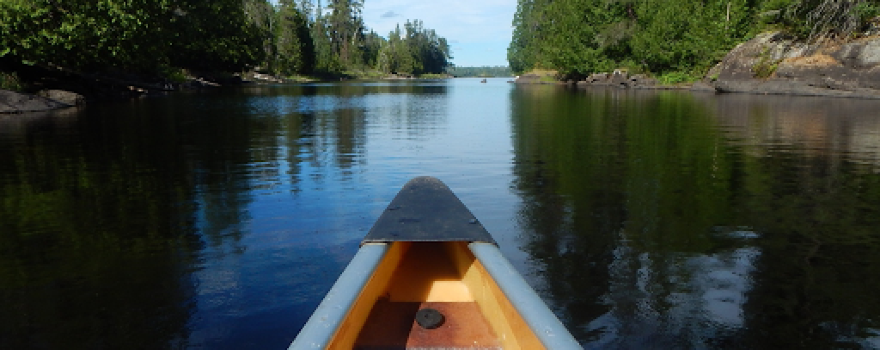 Moosebirds - On Lake Vermilion
