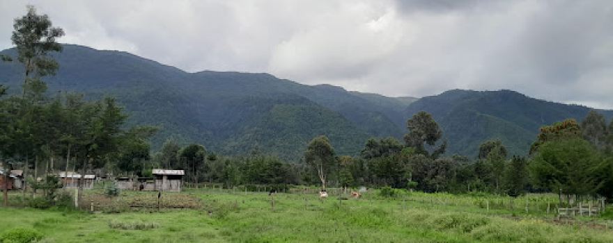Aberdare range