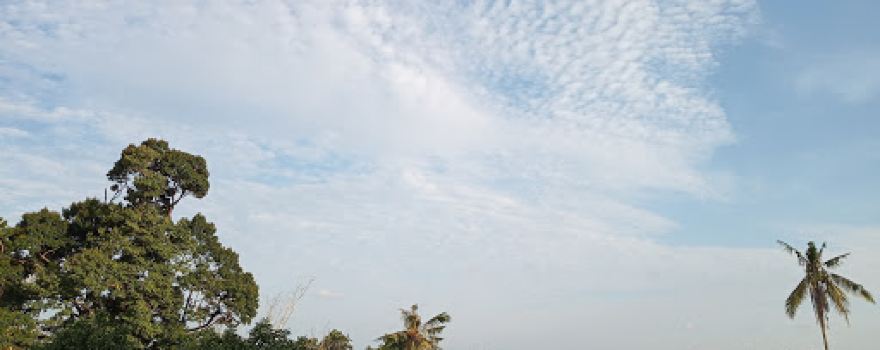Taman Parit Tebu