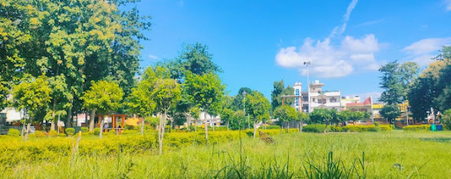 Shivam's Garden