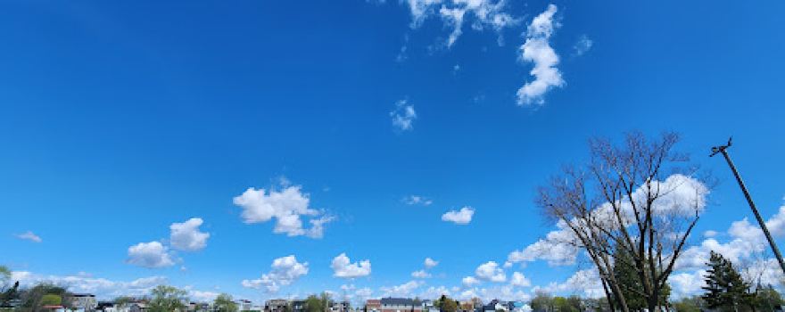 Alexandria Island Park